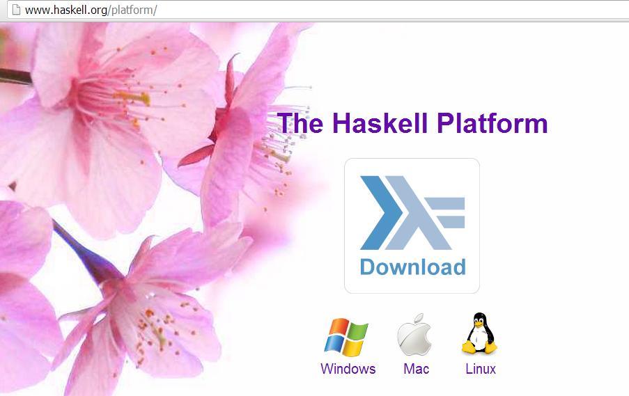 Haskell platform dr