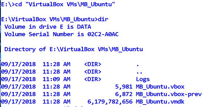 Backing Up The VM: