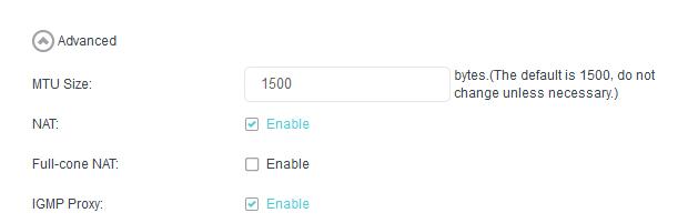 Set Enable NAT to enable the
