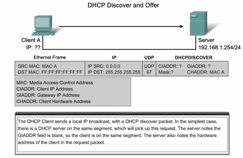 IP address to a client 35  DHCP Operation 36