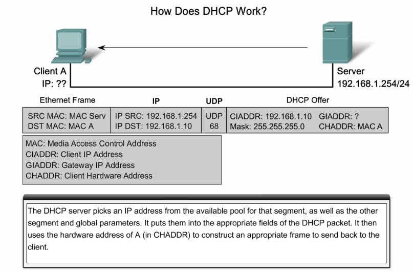5. DHCP (Dynamic Host Configuration