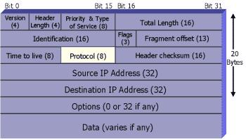 2. IP Protocol Feature The Characteristics of IP The transport Layer segments are encapsulated as packets 9 2.
