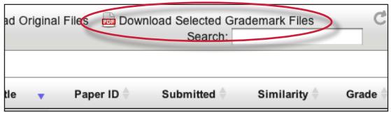 Once all of the files are selected click on the Download Selected GradeMark