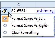 By default, Excel formats inserted columns with the same formatting as the column to the left of them.