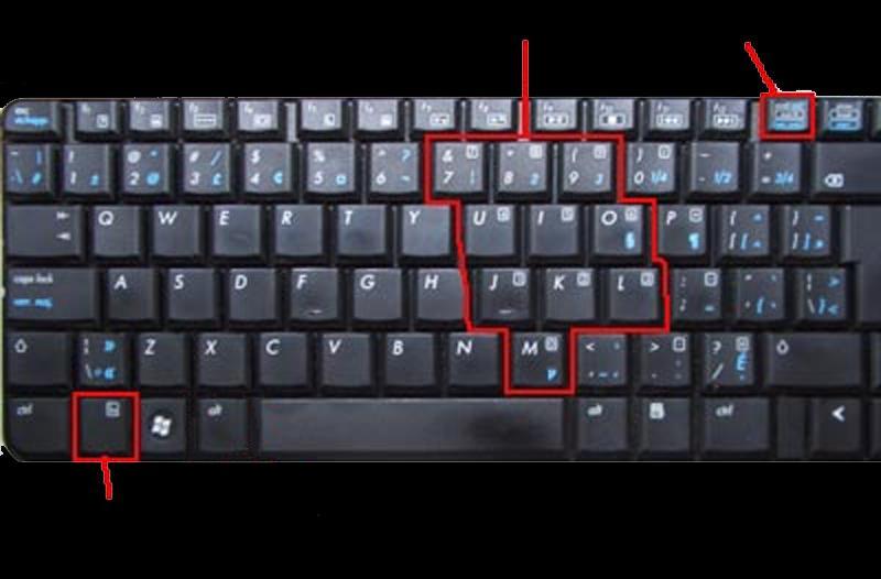 Press the function (fn) key +