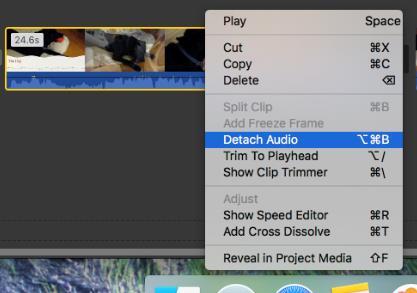 clicking on the clip and choosing Detach Audio.
