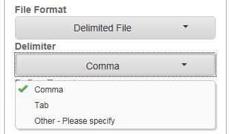 Create a Data Feed: Select Initial Options 3. Under File Format, select Delimited.