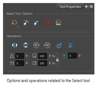 Tool Properties View The Tool Properties view contains the options and operations available for the currently selected tool.