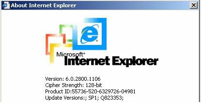 Using the Internet Explorer, open the menu entry? and Info to read about the key length that is currently activated.