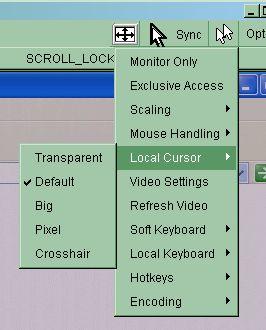 Local Cursor Offers a list of different cursor shapes to choose from for the local mouse pointer.