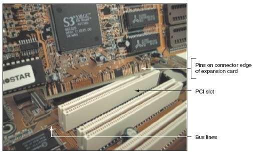 Figure 1-30 The lines of a bus terminate at an expansion slot where they connect to pins that
