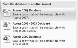 Database formats Discussion Access 2007 recognizes and will open databases in the formats of earlier versions of Access since 2000. The format will display in the title bar of the application.