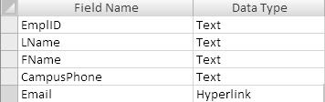 3. Add the Field Names and Data Types in the top pane. In class, add these Field Names and Data Types. 4. Click in a Field to display its Field Properties in the bottom pane. 5.