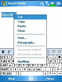 Using the input panel, enter typed text into the document. For more information on entering typed text, see Enter Information on Your Pocket PC.
