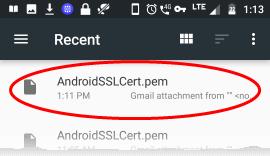 'Security' > 'Install from SD Card' Select 'AndroidSSLCert.