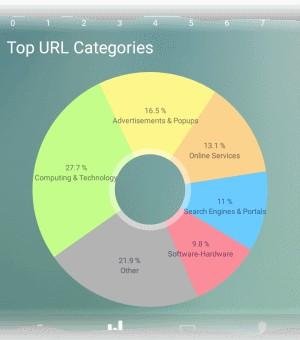 Top URL Categories Shows the ten website categories which were most