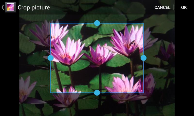 4. Touch Menu > Crop. A crop box appears on the picture. 5. To adjust the crop box size, touch and hold the edge of the box.