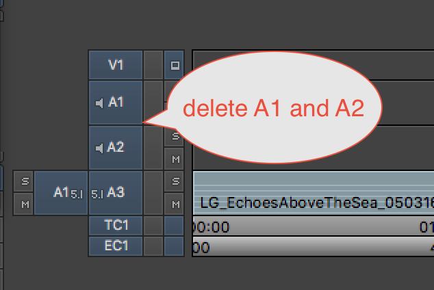 delete the other audio tracks that are automatically generated in