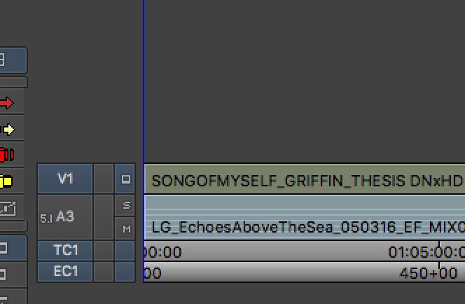 Load that video mixdown clip into the source