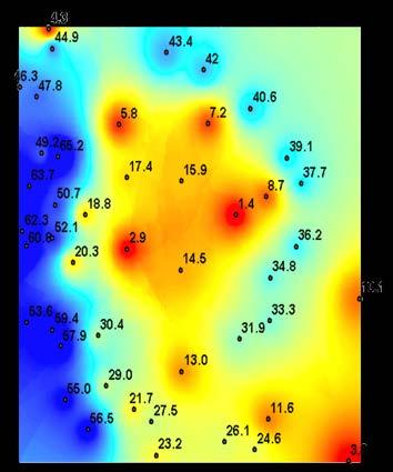 TopoToRaster Kriging Polynomial Trend Surface Inverse Distance Weighted