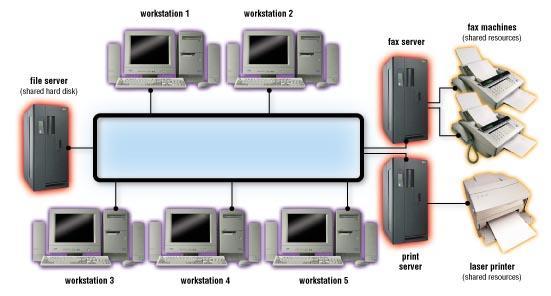 Client-Server Networks Typical corporate networks are client-server. They use various topologies or physical layouts.