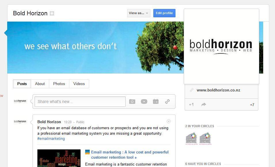 A Google+ Business page, as shown below, has a different layout with a large cover