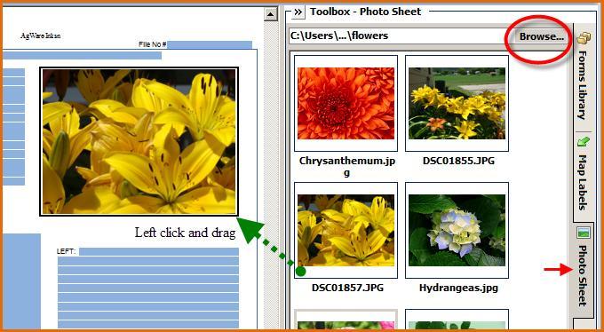 The Photo Sheet is the third tab in the Toolbox. It has a Browse button that opens your computer directory. Select the folder where your images are stored; they will be displayed on the Photo Sheet.