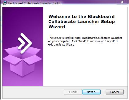 After running the installer, you will be prompted to begin the Blackboard Collaborate Launcher Setup. Select Next to continue.
