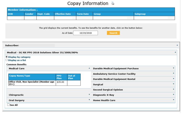 Employer View of a Member s Copay Information and Current Benefits Select