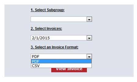 3. Select an Invoice Format (PDF or a comma-separated values