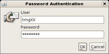 Figure 2: Password authentication for SSH Console. You can use the console to use the CSC servers, but it contains also other tools than just the command line client.