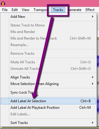 3. Label the First Song Next, start at the beginning of your recording and label your first song. Place the cursor of your mouse over the track where the first song starts, and click once.