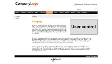General > User control It allows you to insert your own user control (ASCX) on the page.