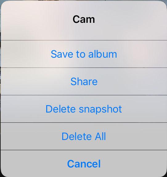 These options include: A. Save to Album - Save snapshots/photos to your phone s photos APP. B. Share - Share snapshots/photos to social media or save to your phones photos APP. C.