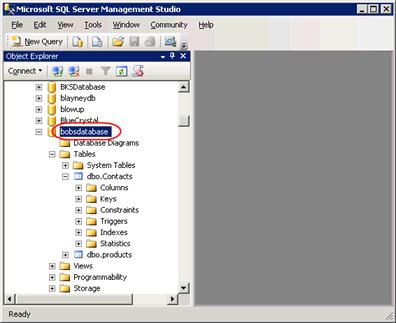 Step 4 Your database can be found in the list titled Object Explorer.