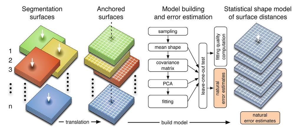 602 P.A. Dufour et al. Fig. 2. Complete statistical shape model building procedure including leave-one-out test for the natural error estimate computation 2.