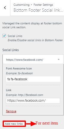 9.5.1 - Bottom Footer Social Links Section To Setting Footer bottom social links items of theme.