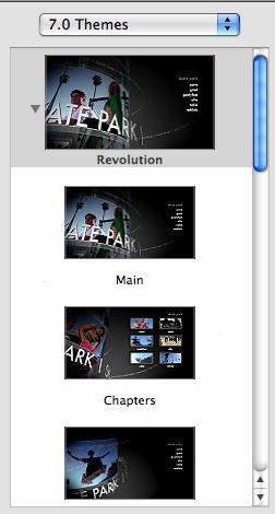 2. WORKING WITH THEMES When creating your idvd, you will choose a Theme for your menus. This will allow you to choose a look for your DVD menus.