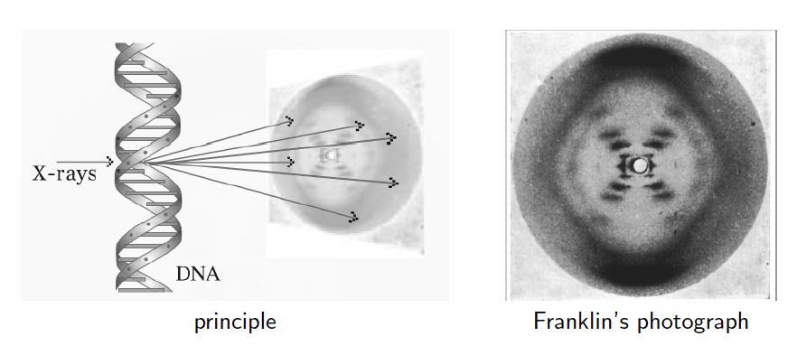 X-rays crystallography Useful in many applications, such as X-rays crystallography, which allows determination of atomic structures