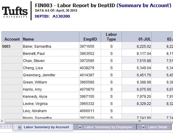 -8- Report Features: FIN003- Labor Report FIN003 is a labor report.