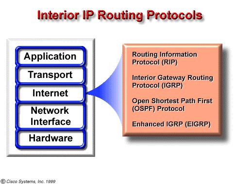 Different routing protocols a router can use an IP routing protocol to accomplish routing through the implementation of a specific routing algorithm.
