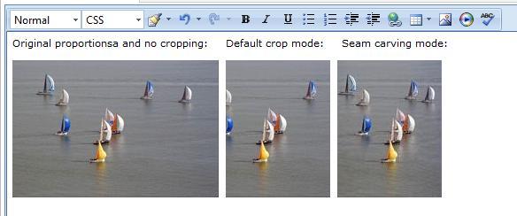Example: Notice how all the sailboats are present in the right image.