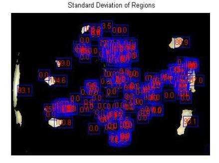 the Figure, the weight centroids hide the standard deviation of <50 regions since it will display high standard deviation values. The following figure exemplifies the result image. Fig7.