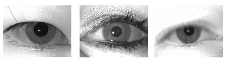 2 Sandipan Banerjee, and Domingo Mery Fig. 1: Some near infra-red eye images with varying levels of illumination, occlusion and iris shape. around it [2,3].