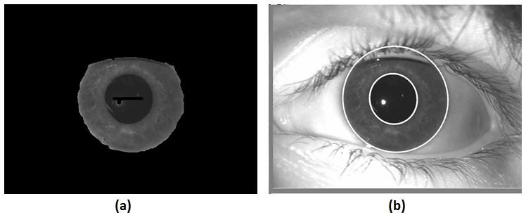 Iris Segmentation using Geodesic Active Contours and GrabCut 7 to get the location of a smaller rectangular box around the pupil.