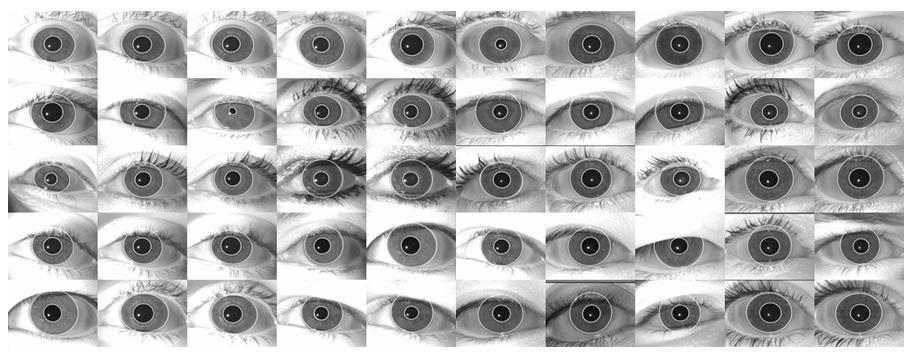 Iris Segmentation using Geodesic Active Contours and GrabCut 9 Fig. 8: Segmentation results for 25 left and 25 right eye images.