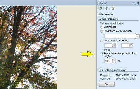 Step 11: If your image is too large, click the button for Percentage of original width x height. Use the down arrow on the percentage box to lower the percentage size of the image.