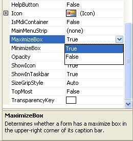 desired MinimizeBox, MaximizeBox, and