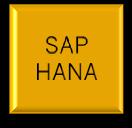 What if this could happen in Real Time SAP HANA IN-MEMORY 'Real Life' Business Transaction No Aggregation / No Data Staging / No Data Marts Analysis and Insight Action Real-time