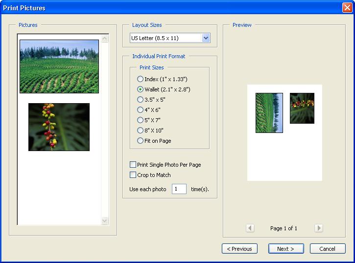 Using the Image Viewer and Picture Tasks Plug-ins Using Help Contents Index Back 89 Printing pictures on a local printer You can use the Print Pictures dialog box to print any number of pictures in